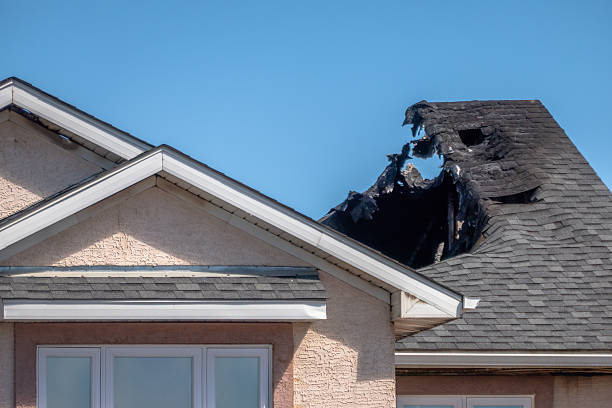 Top rated local Fire Damage Removal specialists in Bellevue, OH